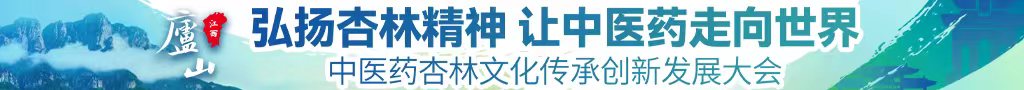 男艹女逼日本欧美吸中医药杏林文化传承创新发展大会